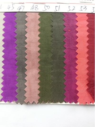 DG-BICG BC-420D 洗水尼龍布  背囊面料 細節-1